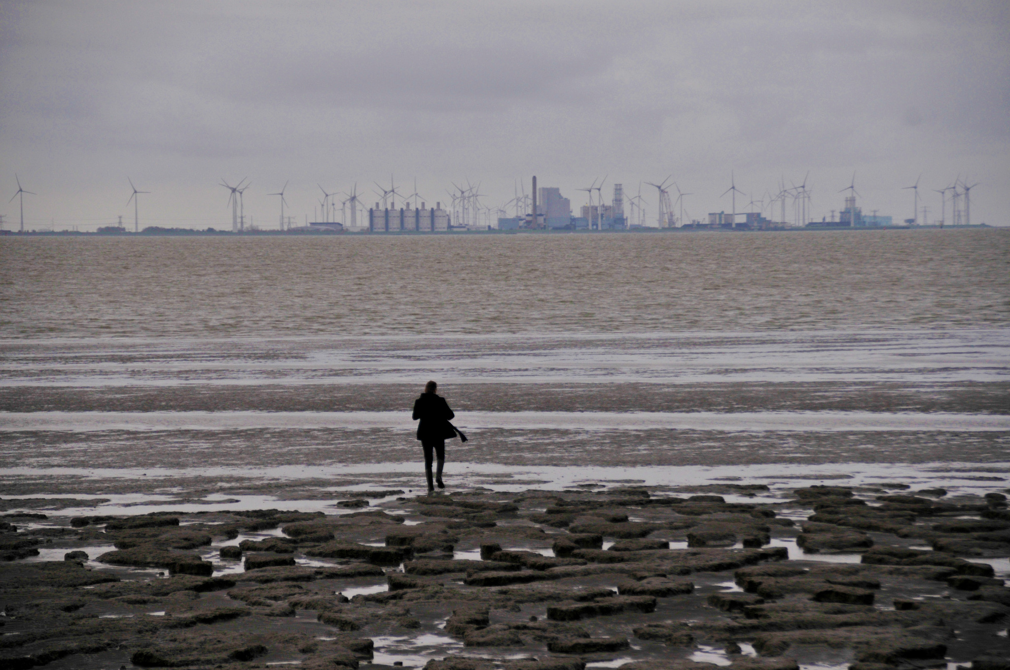 Stefano Cagol
              work 14